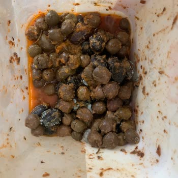 Yeni Alınan Buzdolabında Sürekli Arıza Ve Gıda Kaybı Mağduriyeti