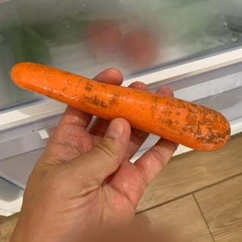 Yeni Alınan Buzdolabında Sürekli Arıza Ve Gıda Kaybı Mağduriyeti