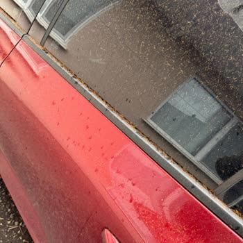 Çaykur Çay Fabrikasının Çevre Kirliliği Ve Sağlık Üzerindeki Olumsuz Etkileri