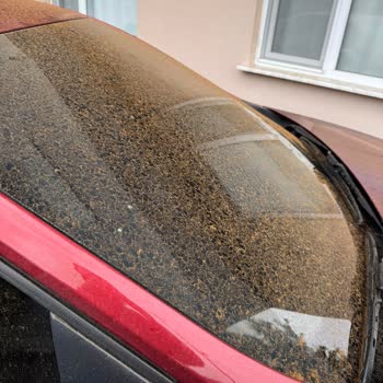 Çaykur Çay Fabrikasının Çevre Kirliliği Ve Sağlık Üzerindeki Olumsuz Etkileri