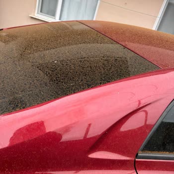 Çaykur Çay Fabrikasının Çevre Kirliliği Ve Sağlık Üzerindeki Olumsuz Etkileri