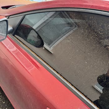 Çaykur Çay Fabrikasının Çevre Kirliliği Ve Sağlık Üzerindeki Olumsuz Etkileri