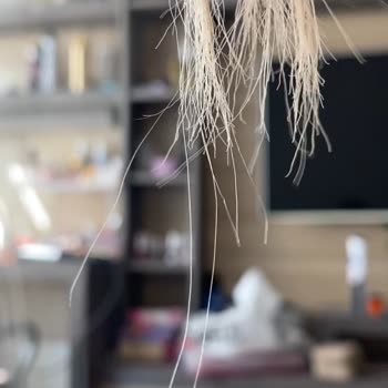 Saç Kesiminde İstenmeyen Sonuç Ve Memnuniyetsizlik