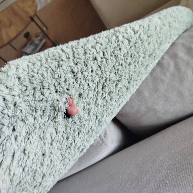 Halı Yıkamada Fiyat Farkı Ve Halıma Zarar Verildi