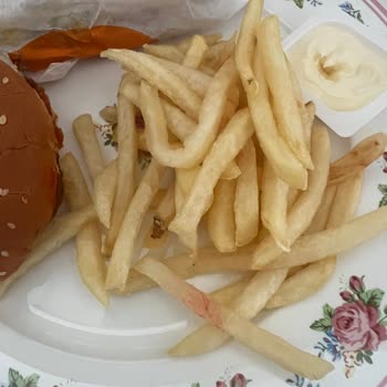 Burger King Siparişimde Patateste Kırmızı Leke Hijyen Sorunu Mu