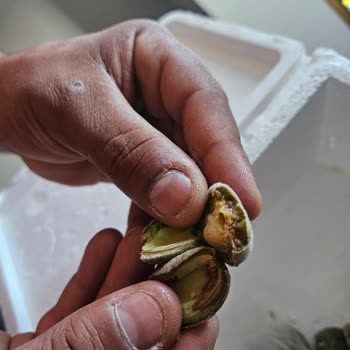 Gönderilen Ürünler Çürük Ve Kalitesiz, Paramı Geri Alamıyorum