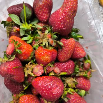 Aldığım Çilekler Çürük Çıktı, Çağrı Merkezi Cevap Vermiyor