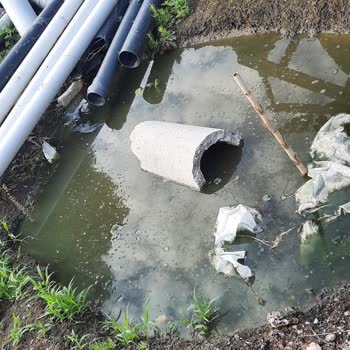 MASKİ Genel Müdürlüğü'nden Kanalizasyon Ve Sinek Sorununa Acil Çözüm Bekliyorum