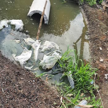 MASKİ Genel Müdürlüğü'nden Kanalizasyon Ve Sinek Sorununa Acil Çözüm Bekliyorum