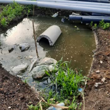 MASKİ Genel Müdürlüğü'nden Kanalizasyon Ve Sinek Sorununa Acil Çözüm Bekliyorum