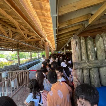 Vialand Fastpass Ve Güvenlik Sorunlarıyla Hayal Kırıklığı Yaşadık