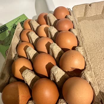 Siparişim Geç Ve Hasarlı Geldi, Ürünler Eksik Ve Bozuktu