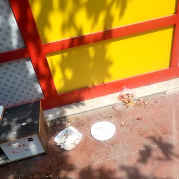 Şok Market Önündeki Kedi Evleri Nedeniyle Oluşan Kirlilik Ve Sinek Sorunu