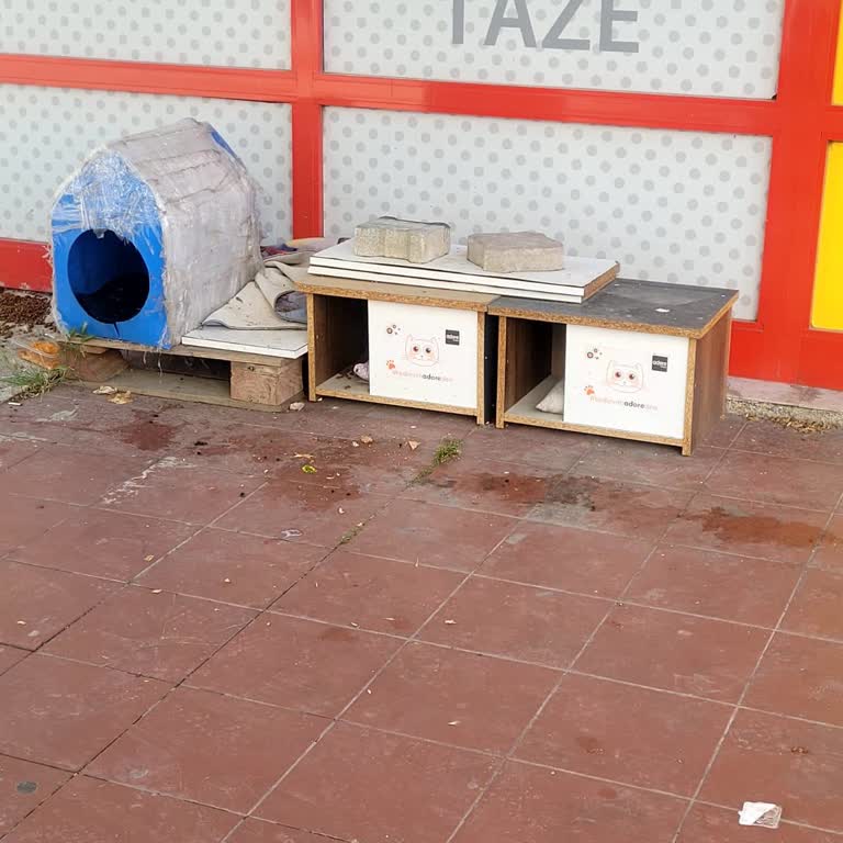 Şok Market Önündeki Kedi Evleri Nedeniyle Oluşan Kirlilik Ve Sinek Sorunu