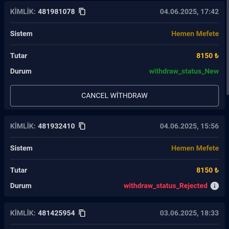 Yatırım Çekim Talebim Karşılanmadı, İlgisiz Temsilciler
