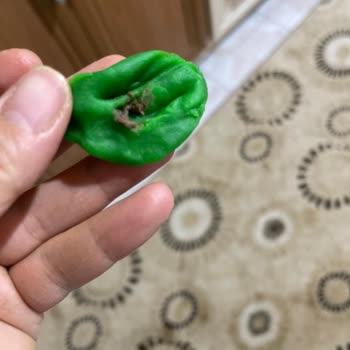 Çocuk Ürününün İçinden Çıkan Şüpheli Maddeler Endişe Yarattı