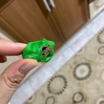 Çocuk Ürününün İçinden Çıkan Şüpheli Maddeler Endişe Yarattı