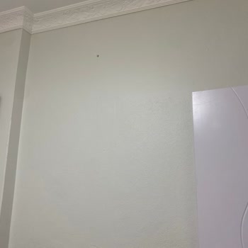 Polisan Yeni Papatya Rengi Karteladakiyle Alakasız, Büyük Hayal Kırıklığı!