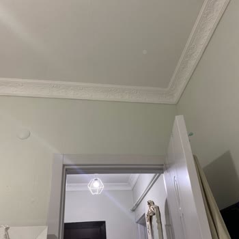 Polisan Yeni Papatya Rengi Karteladakiyle Alakasız, Büyük Hayal Kırıklığı!