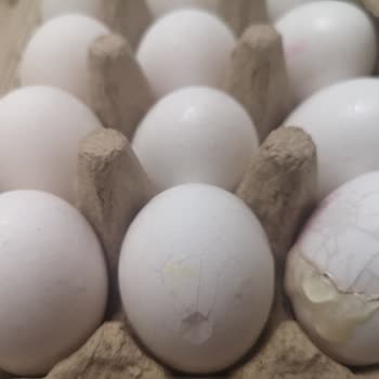 A101 Kapıda: Eksik Poşet Ve Deforme Ürünlere Çözüm Yok