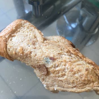 Aldığım Paket Ekmek Küflü Çıktı, Tazelikten Şüpheliyim