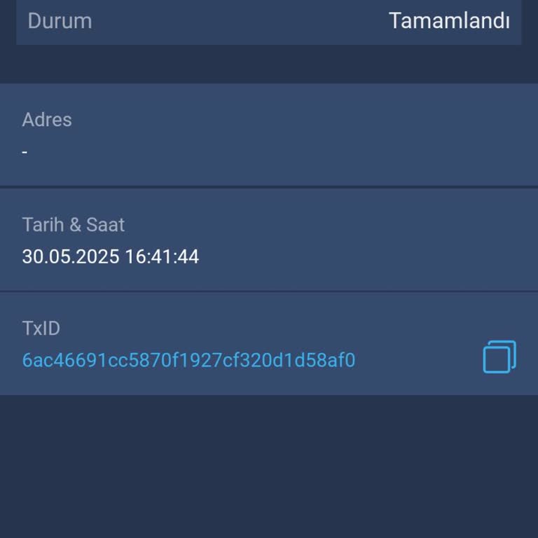 Hesabımdan İzinsiz Transfer Ve Yetersiz Destek