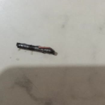 Baklava Satın Alımında Karşılaşılan Sağlık Riski