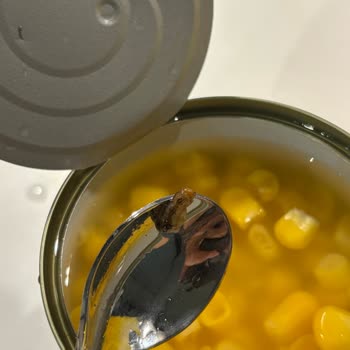 Konserve Mısırda Sağlığı Tehdit Eden Şok Edici Yabancı Madde!