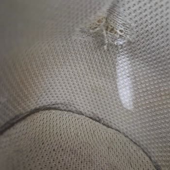 Nike Spor Ayakkabıda Topuk Kısmında Yırtık Ve Mağaza İnceleme Sorunu