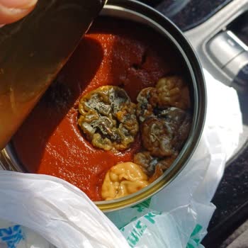 Satın Aldığım Domates Salçası Bozuk Çıktı, İade Veya Değişim Talebi