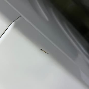 Bosch Yetkili Servis Tamir Sonrası Ekstra Ücret Ve Hasar Sorunu