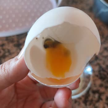 A101'den Aldığım Yumurtalar Küflü Çıktı, Sağlık Sorunu Yaşadım