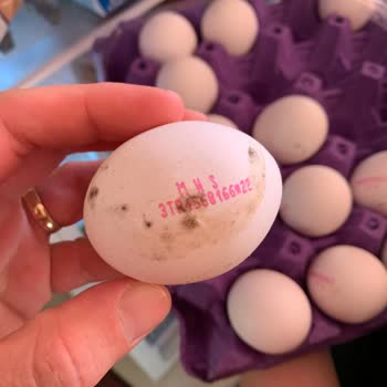 A101'den Aldığım Yumurtalar Küflü Çıktı, Sağlık Sorunu Yaşadım