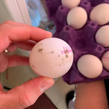 A101'den Aldığım Yumurtalar Küflü Çıktı, Sağlık Sorunu Yaşadım