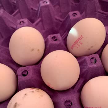 A101'den Aldığım Yumurtalar Küflü Çıktı, Sağlık Sorunu Yaşadım