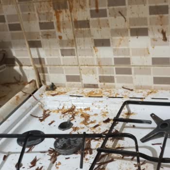 Schafer Düdüklü Tencere Patladı Mutfakta Büyük Hasar Oluştu