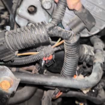 Ankara Tasfiye Müdürlüğü Şikayetçiyim