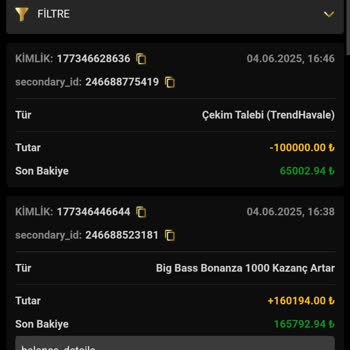 Kazancım Haksız Yere Silindi Ve Oyun Geçmişim Kapatıldı