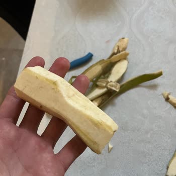 BİM'den Aldığım Muzun Salatalık Gibi Çıkması Ve Denetim Eksikliği