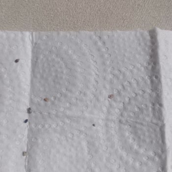 Migros’tan Alınan Chia Tohumunda Sağlık Tehlikesi Ve Yabancı Maddeler