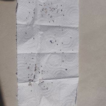 Migros’tan Alınan Chia Tohumunda Sağlık Tehlikesi Ve Yabancı Maddeler