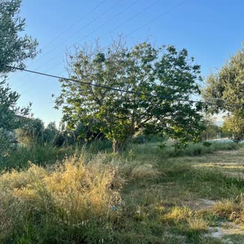 Türk Telekom'dan Yetersiz Ve Sorumsuz İnternet Hizmeti