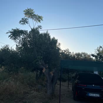 Türk Telekom'dan Yetersiz Ve Sorumsuz İnternet Hizmeti