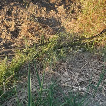 Türk Telekom'dan Yetersiz Ve Sorumsuz İnternet Hizmeti