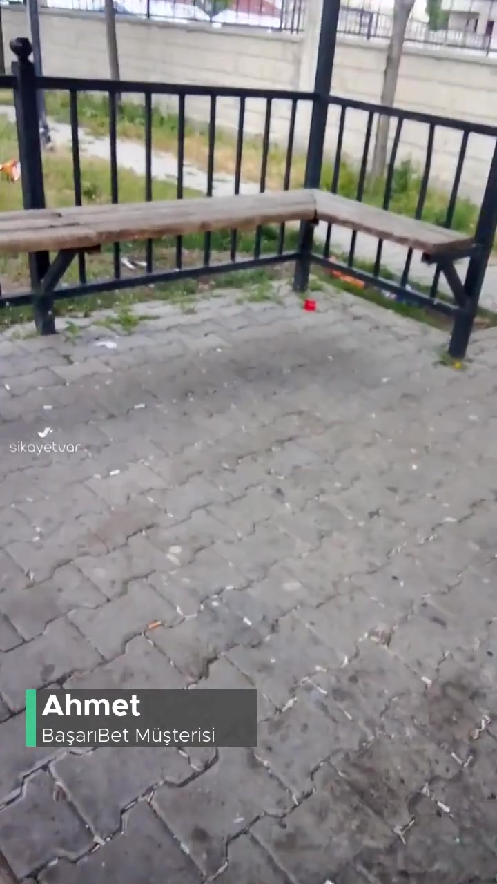 Başarıbet Param Gelmiyor! videonun kapak resmi