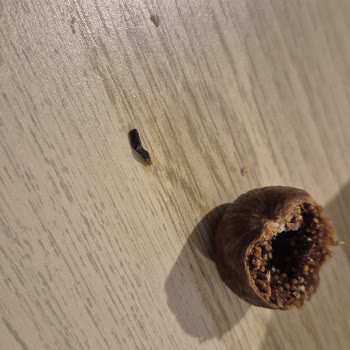 Aldığım İncirden Kurt Çıkması Beni Markadan Soğuttu