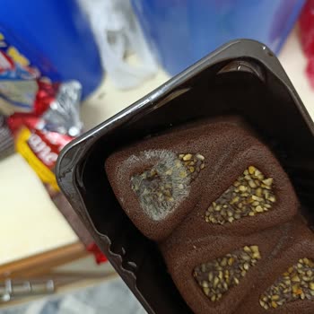 Eti Ürününde Örümceklenme Şoku: Sağlığımız Tehlikede!