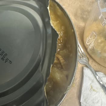 Tat Közlenmiş Patlıcanda Dev Kurt Şoku, İşletmemde Güvenim Sarsıldı