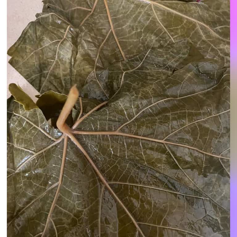 Sipariş Ettiğim Yapraklar Beklediğim Gibi Çıkmadı İletişim Yok