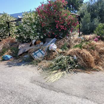 Didim Akbük'te Biriken Çöpler Çevre Ve Yangın Riski Oluşturuyor